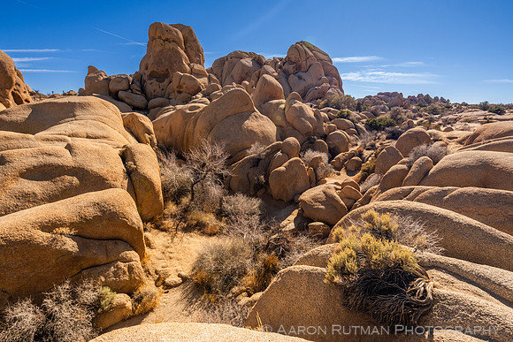 Skull Rock Nature Area, Joshua Tree National Park