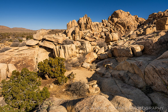 Jumbo Rocks, Joshua Tree National Park