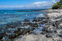 Kiholo Bay