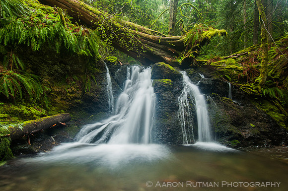 Rustic Falls, Moran State Park