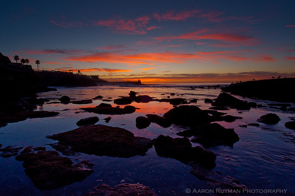 Peach Low Tide, La Jolla Cove