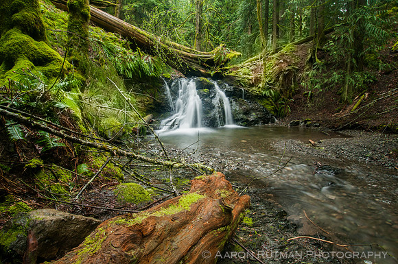 Rustic Falls, Moran State Park