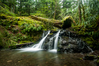 Rustic Falls, Moran State Park