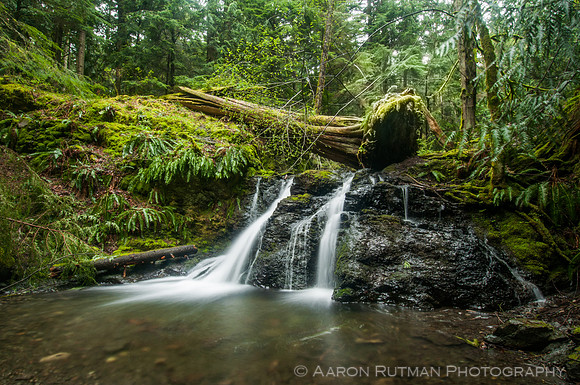 Rustic Falls, Moran State Park