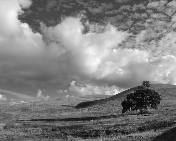 Concord Hills (B&W)