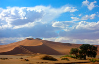 The Namib
